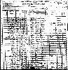Womack Family - 1900 Census