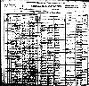 Womack Family - 1900 Arkansas Census