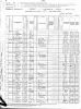 Krebs Family - 1880 New York Census