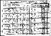 Henry Family - 1910 Virginia Census