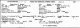 Huber, Sterling P. and Krieger, Irene L. - Ohio Marriage Application
